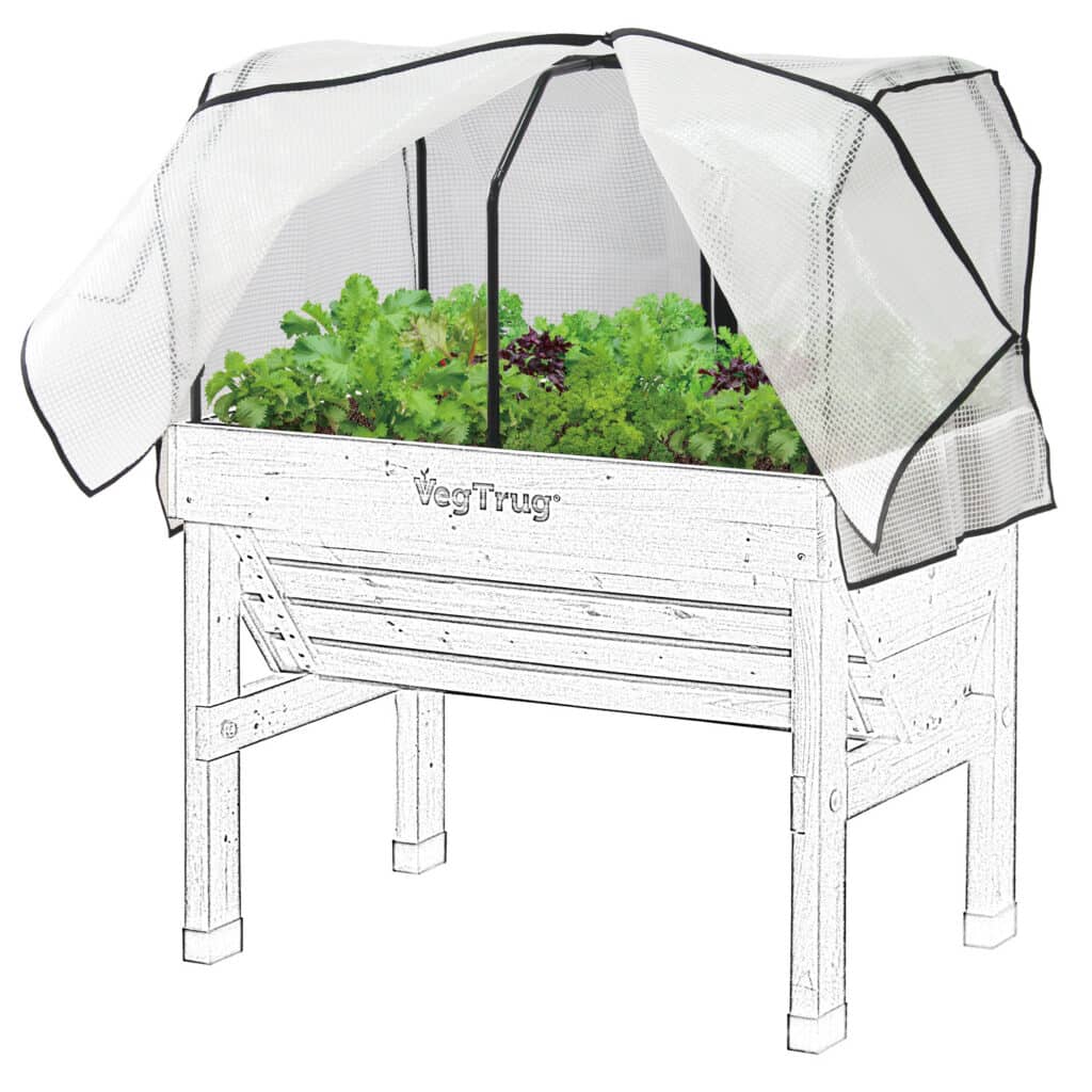 Small 1m Greenhouse PE Cover Takasho Australia   SGPES9136 Small Greenhouse On Ghost VegTrug Frame Not Inc 1024x1024 