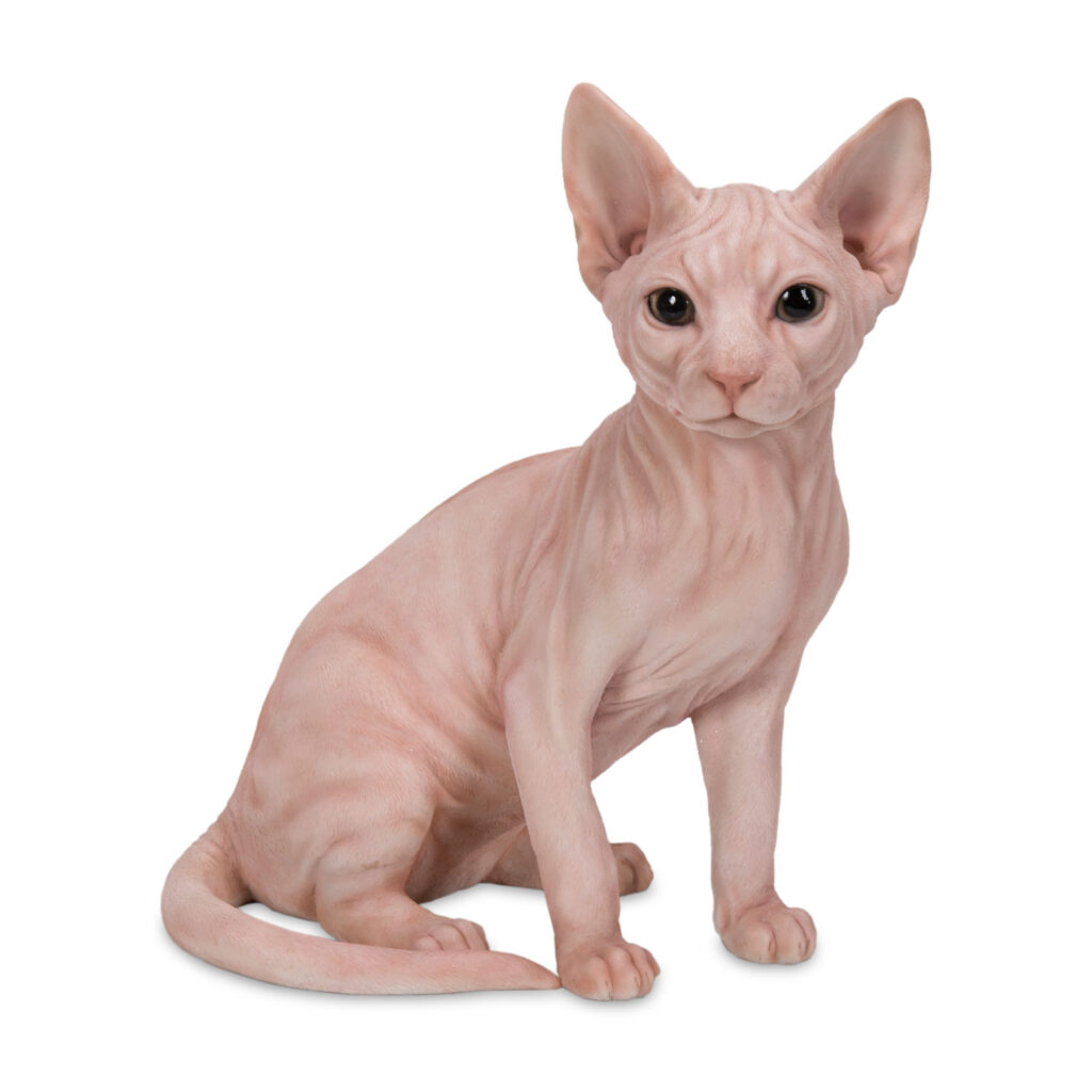 Sphynx Cat – Pink – Takasho Australia